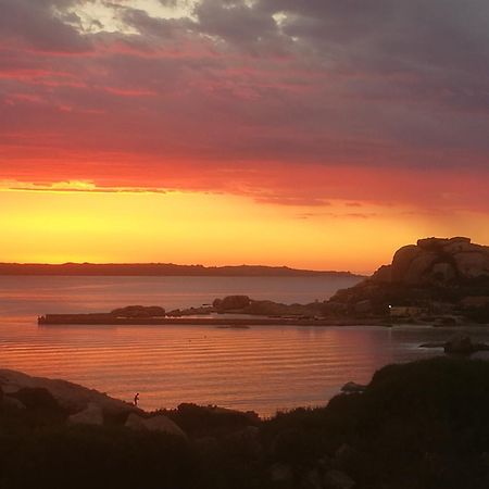 Appartamenti Crocetta La Maddalena  Szoba fotó